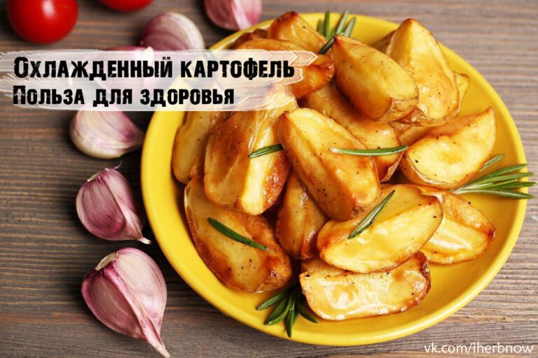 Подробнее о статье Польза и вред запеченого и вареного картофеля